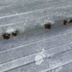 Roof Field Condition-Panel Holes Caused by Rust on Commercial Roof